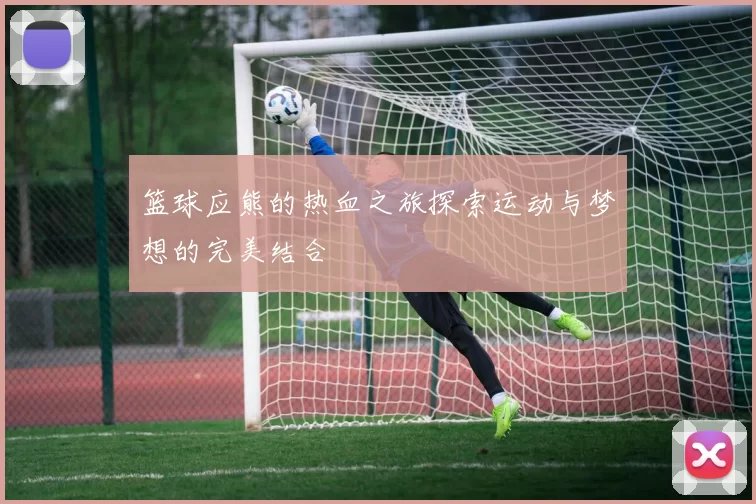 篮球应熊的热血之旅探索运动与梦想的完美结合