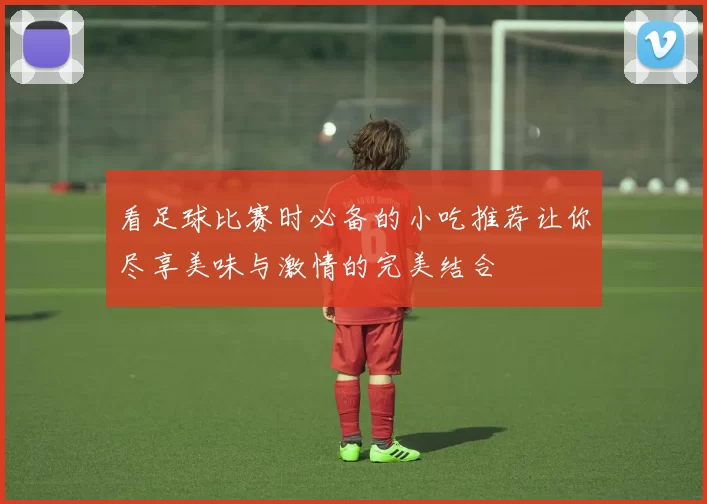 看足球比赛时必备的小吃推荐让你尽享美味与激情的完美结合