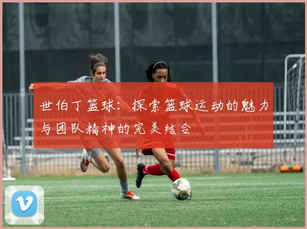 世伯丁篮球：探索篮球运动的魅力与团队精神的完美结合