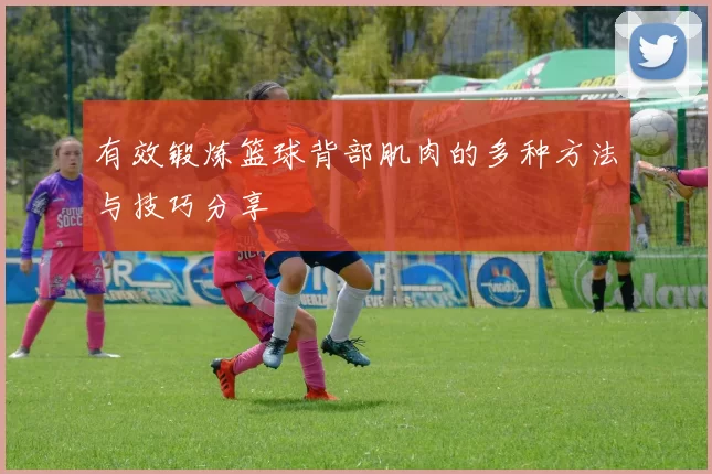 有效锻炼篮球背部肌肉的多种方法与技巧分享