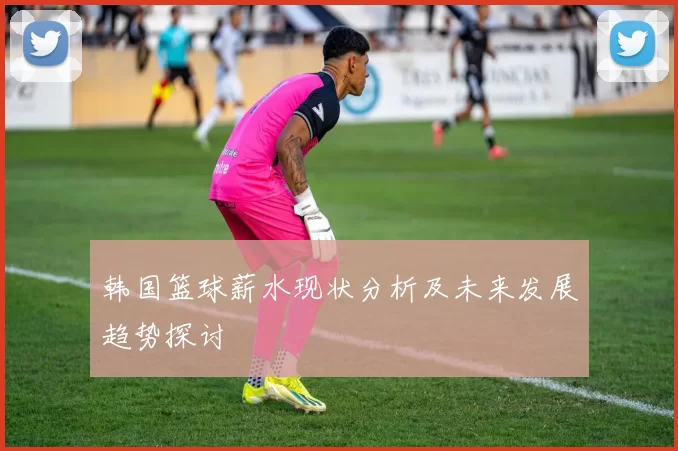 韩国篮球薪水现状分析及未来发展趋势探讨
