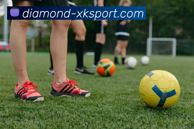 星空全站平台生态图